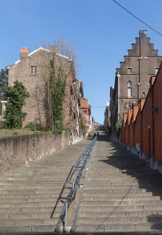 Lescalier De La Montagne Bueren